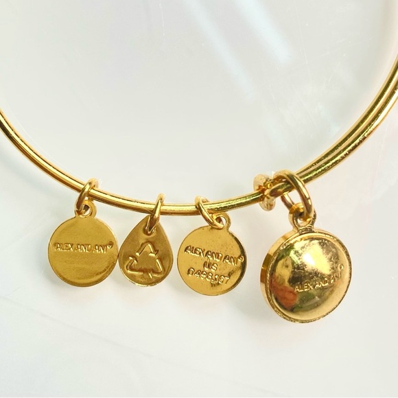 Alex and Ani Charm Bangle Bracelet November Topaz Birth Stone - Picture 3 of 6